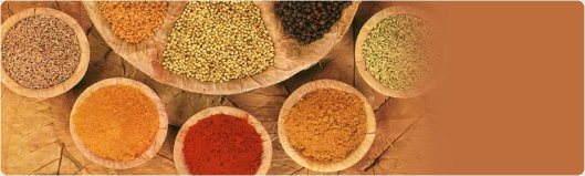 spices-banner